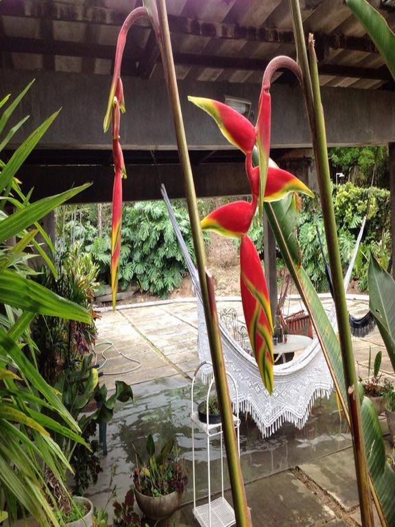 Braunes Guest House Nova Friburgo Ngoại thất bức ảnh